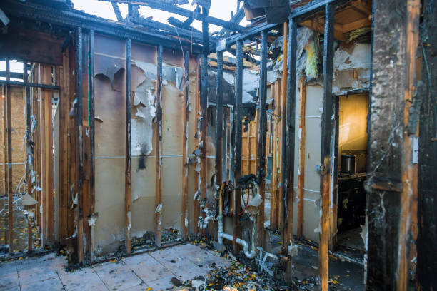 Professional Fire Damage Removal technician working in Vero Lake Estates, FL